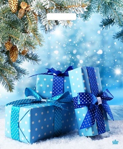 Подарки зимы