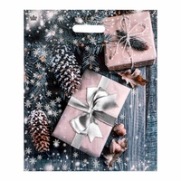 Пакет НГ 38х45 Дед Мороз на тройке, Новогодний подарок, Сказочная гостья