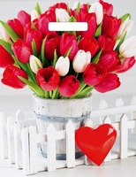 Пакет 31х40 Белиция 60 мкм