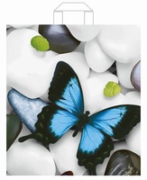 Бабочка на камнях