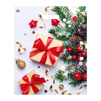 Пакет НГ 45х38 Новогодние презенты проруб (25)