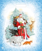 Зимний гость